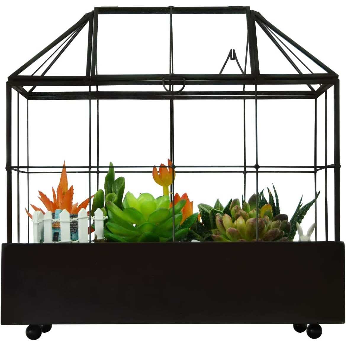 Large Tall Plant Terrarium Glass Glass Greenhouse Terrarium with Lid and Tray,Indoor Tabletop Orchid Succulent Cacti Terrarium Kit 9.5”X9.8”X5.6”