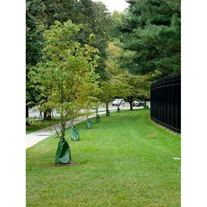 Treegator Original Slow Release Watering Bag