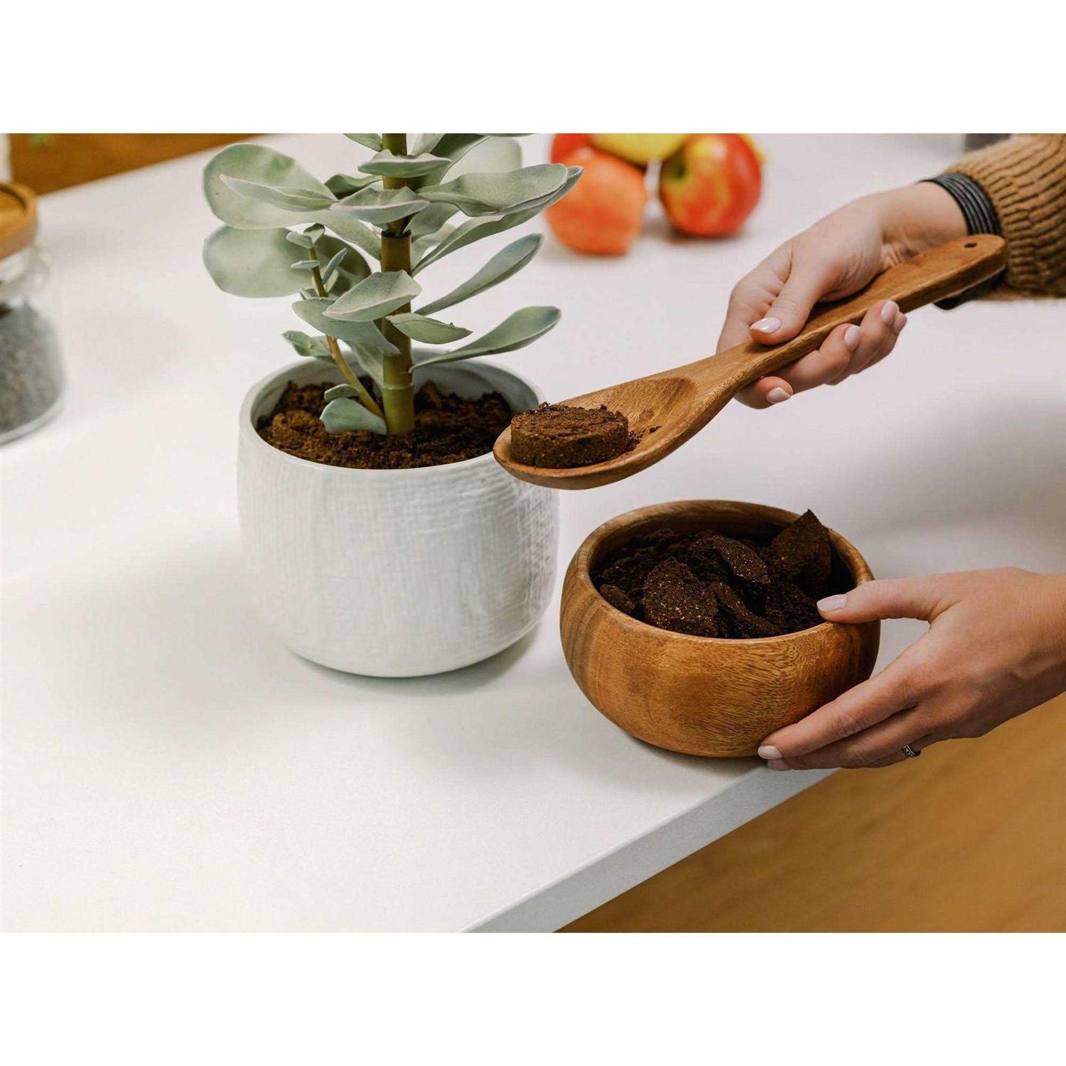 De’Longhi TrueBrew Automatic Coffee Maker with Bean Extract Technology