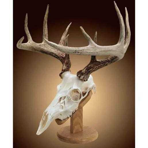 Walnut Hollow Country Solid Oak Skull Mount Kit
