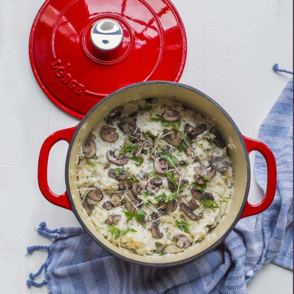 Lodge Cast Iron Enameled Dutch Oven