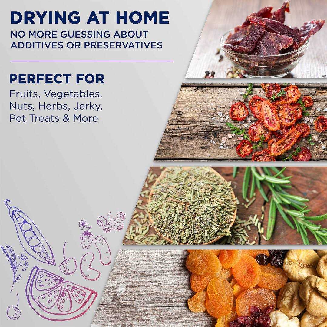 Ivation 10-Tray Stainless Steel Food Dehydrator