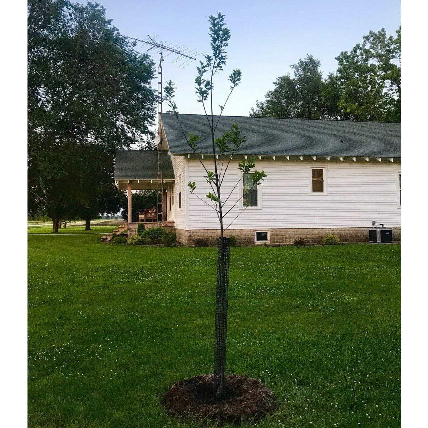 Voglund Nursery Mesh Tree Bark Protector Guard Tall Heavy Duty Zip Ties