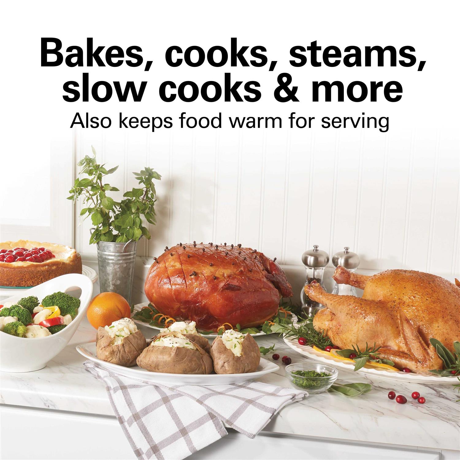 Hamilton Beach 22 Roaster Oven