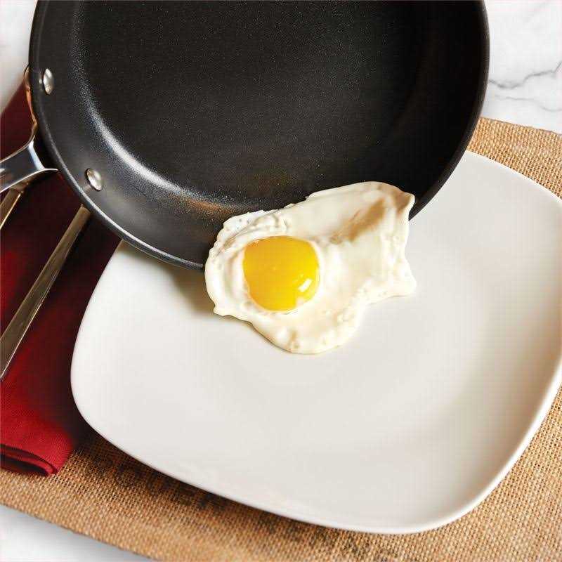 All-Clad HA1 Hard Anodized Nonstick Fry Pan