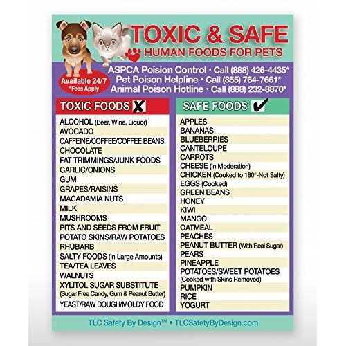 Tlc Safety By Design 5.5” x 8.5” Toxic Harmful and Safe Foods for Pets Fridge Safety Magnet Dogs Cats Poison Emergency Veterinarian Approved