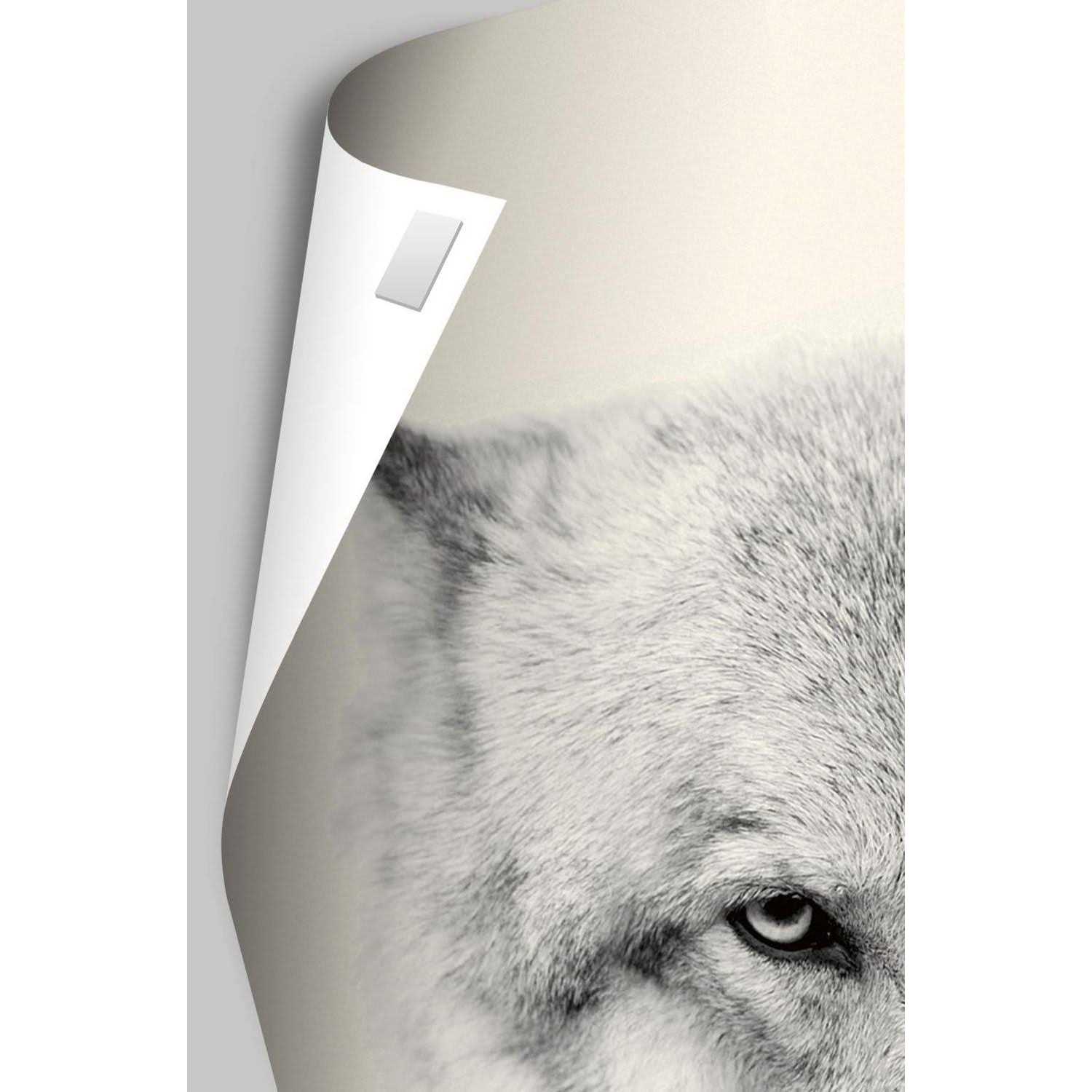 Trends International Map Canada Poster