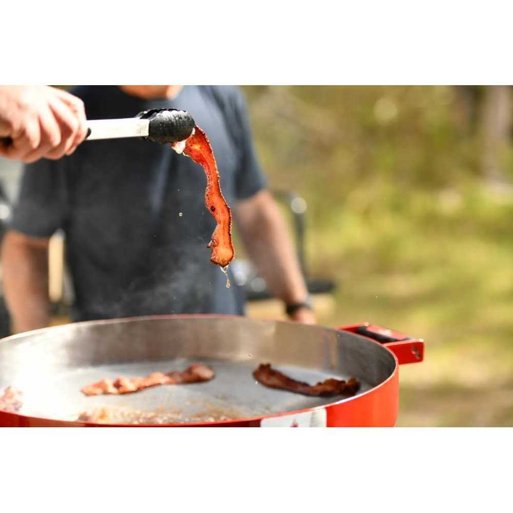 FireDisc Grills TCGFDM22HR