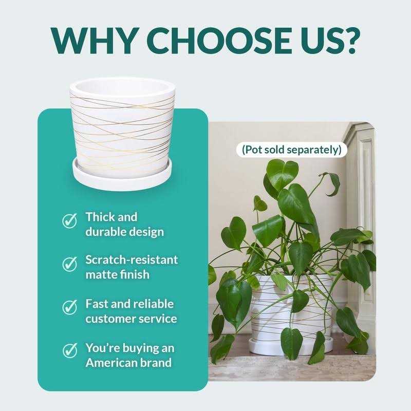 Willowy Matte White ceramic Pot Saucer Drainage Tray