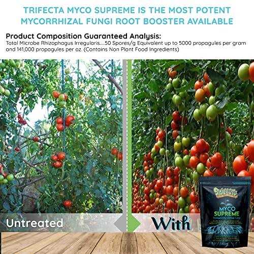 Trifecta Myco Supreme