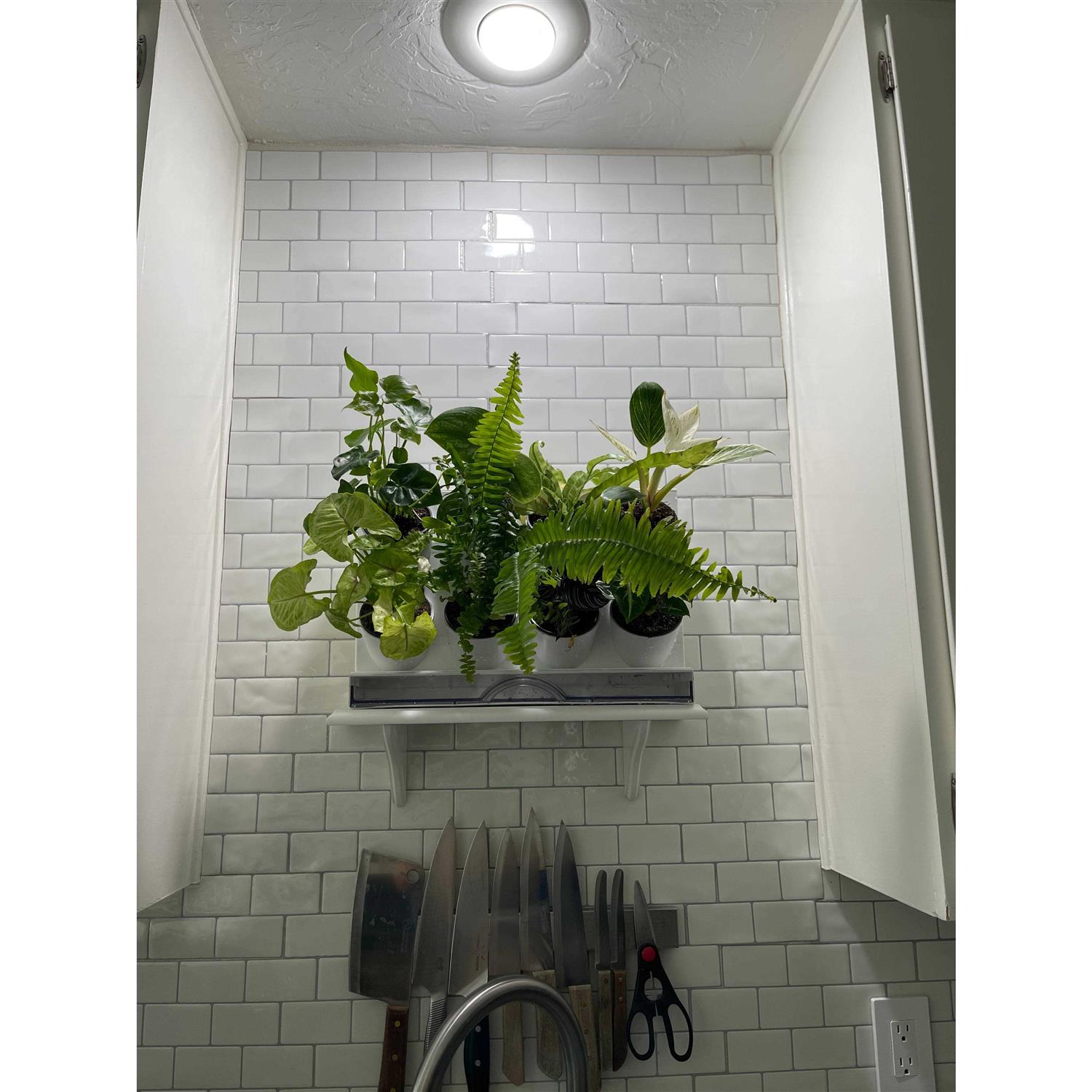 Watex Countertop Garden Kit