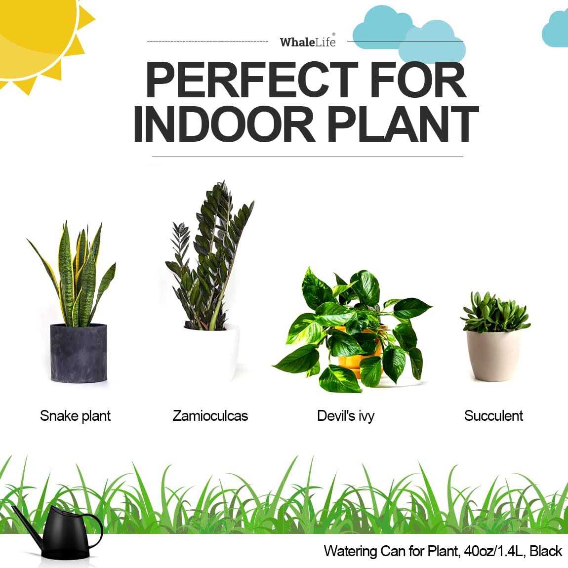 Whalelife Indoor Watering Can for House Bonsai Plants Garden Flower Long Spout 40oz