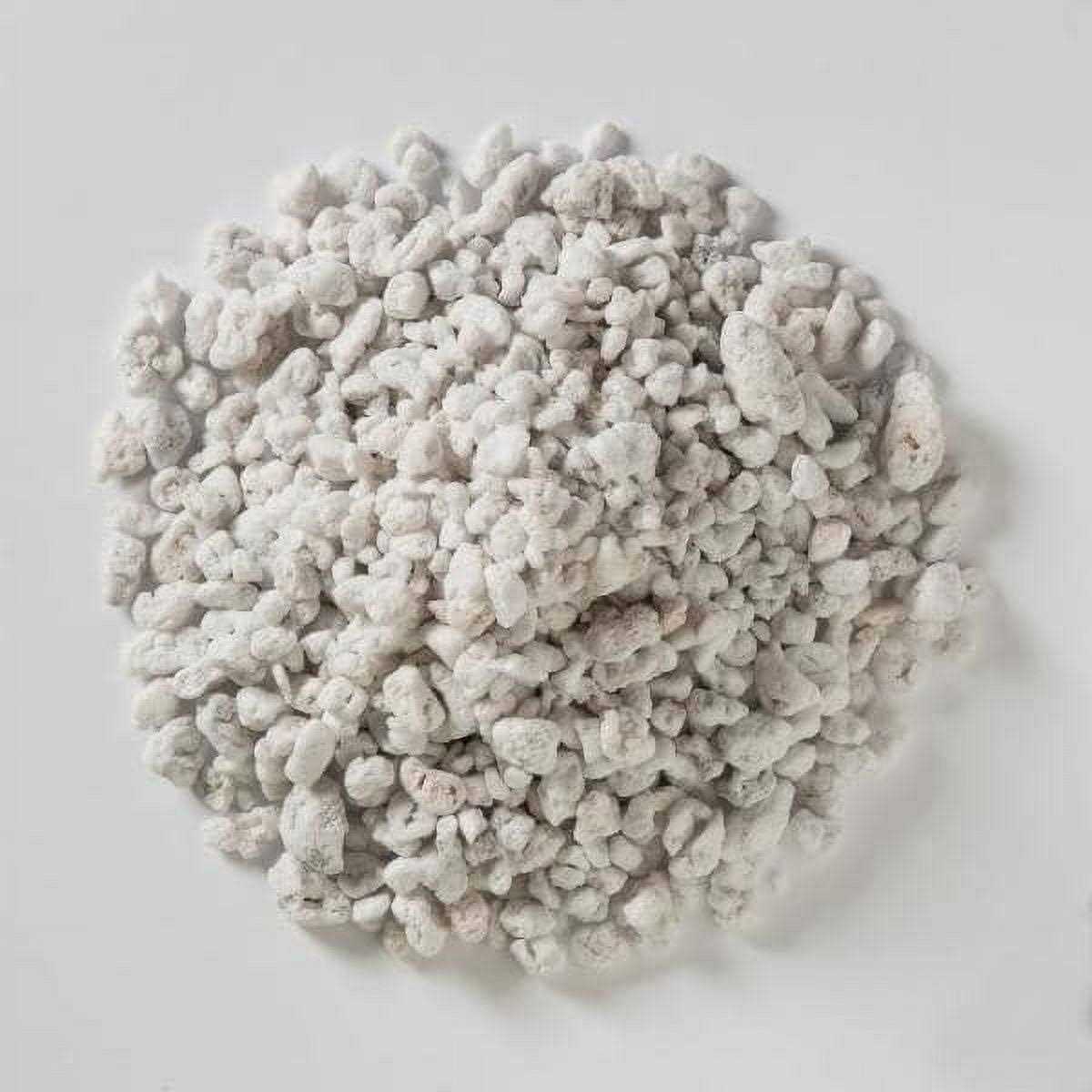 Vigoro 2 Cu. Ft. Organic Perlite Soil Amendment