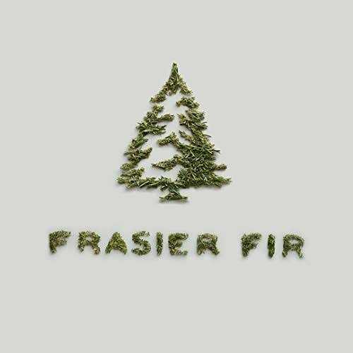 Thymes Frasier Fir Candle Tin