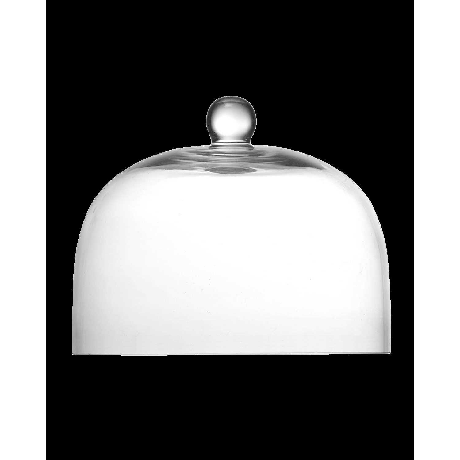 Fortessa Jupiter Glass Dome