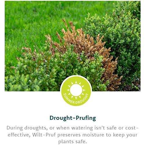 Wilt-Pruf Ready to Use