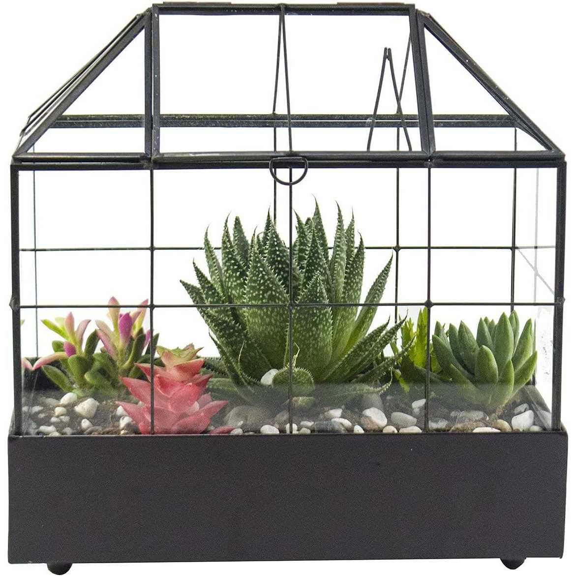 Large Tall Plant Terrarium Glass Glass Greenhouse Terrarium with Lid and Tray,Indoor Tabletop Orchid Succulent Cacti Terrarium Kit 9.5”X9.8”X5.6”