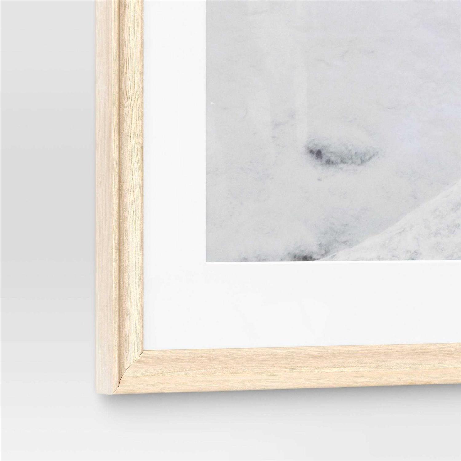 Threshold New 22 x 28 Matted to 18 x 24 Wedge Poster Frame