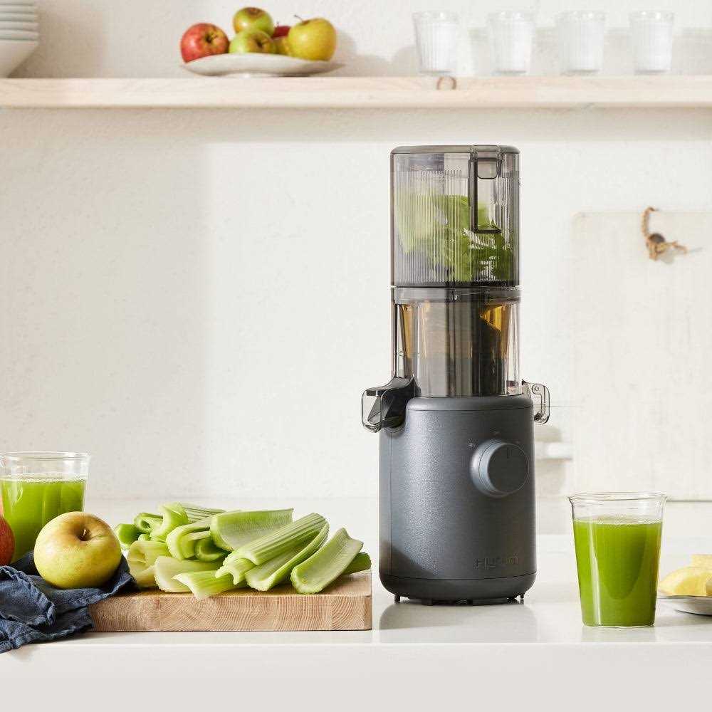 Hurom H310A Personal Self Feeding Slow Masticating Juicer