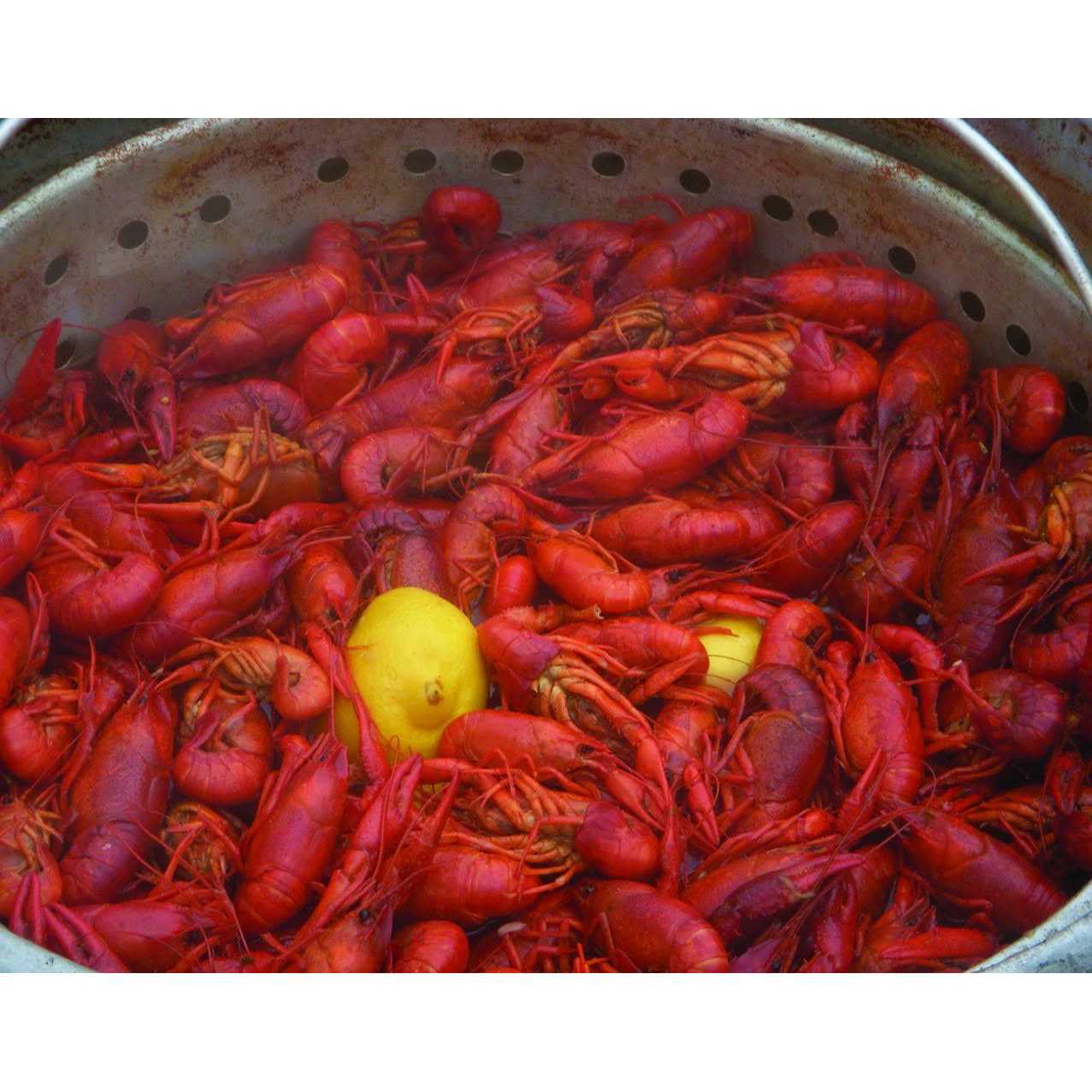 Bayou Classic 34 qt. Aluminum Stockpot