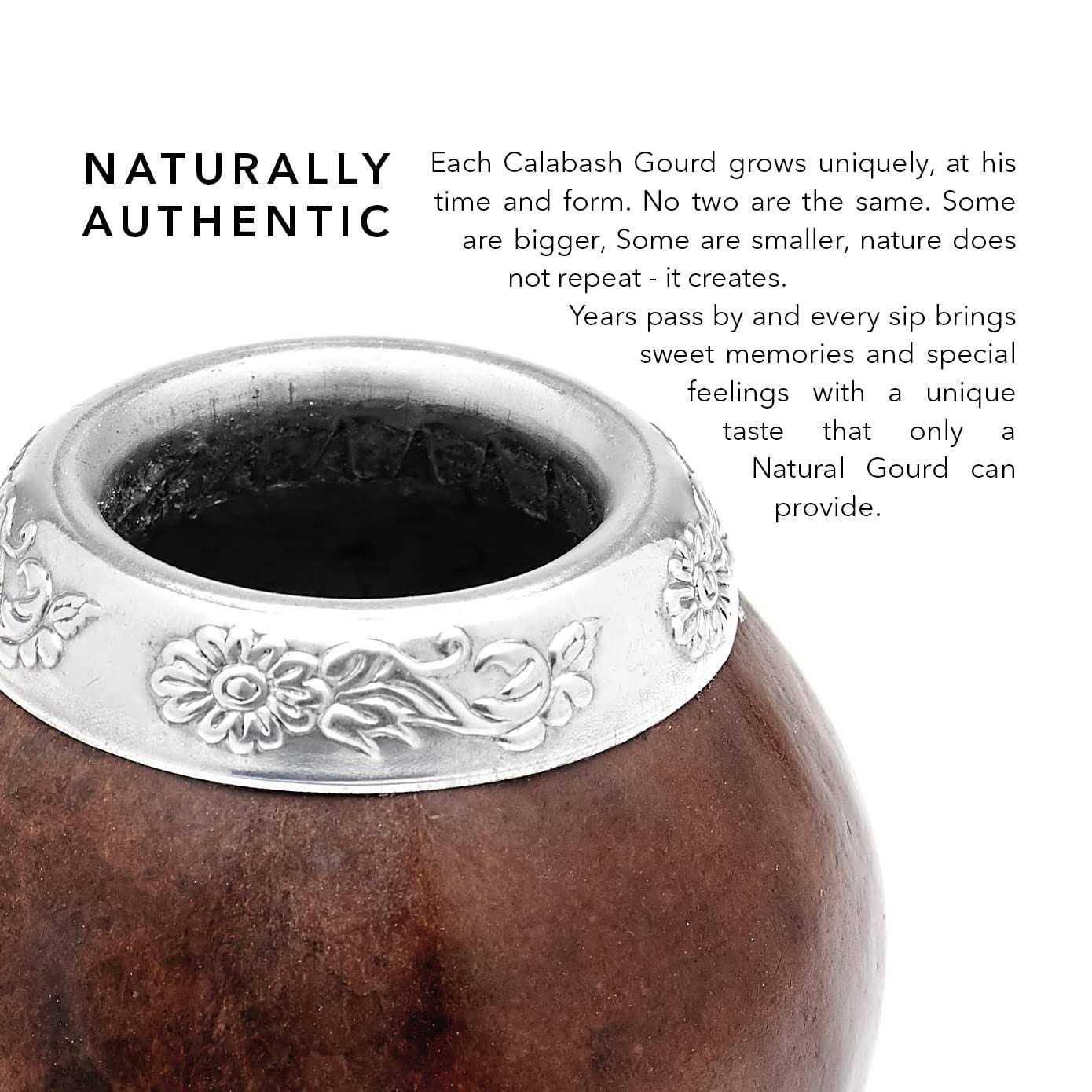 Balibetov Yerba Mate Gourd Set Includes Mate Tea Cup, Bombilla and Clean