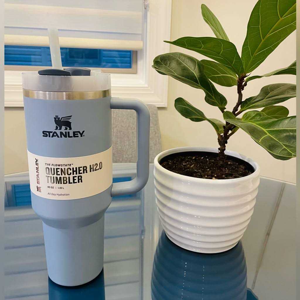Stanley Quencher H2.0 FlowState Tumbler
