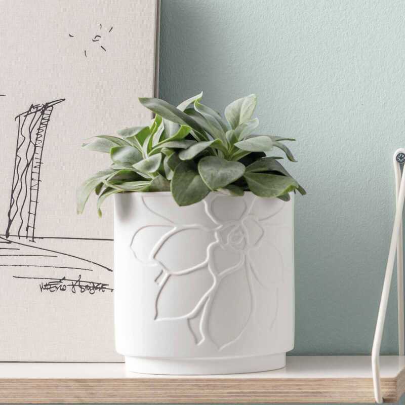 Villeroy & Boch It’s My Home Flower Pot Leaf Mineral