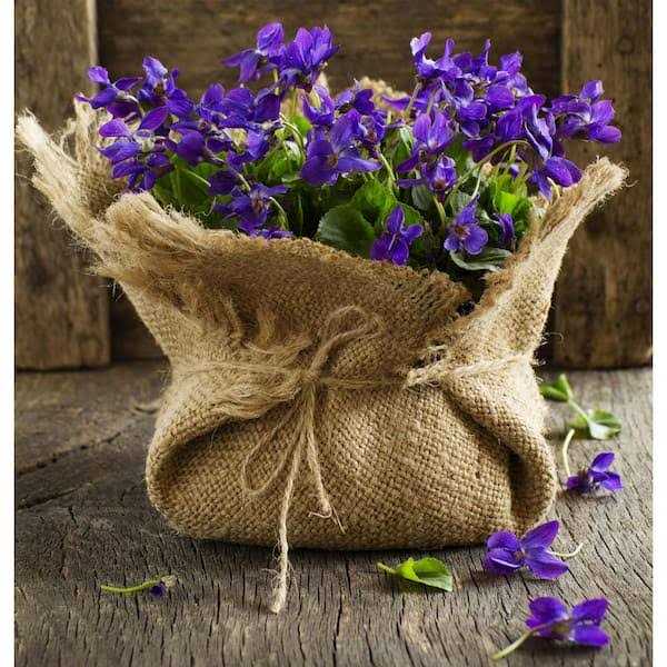 Vigoro 3 ft. x 24 ft. 100% Natural Burlap Landscape Fabric