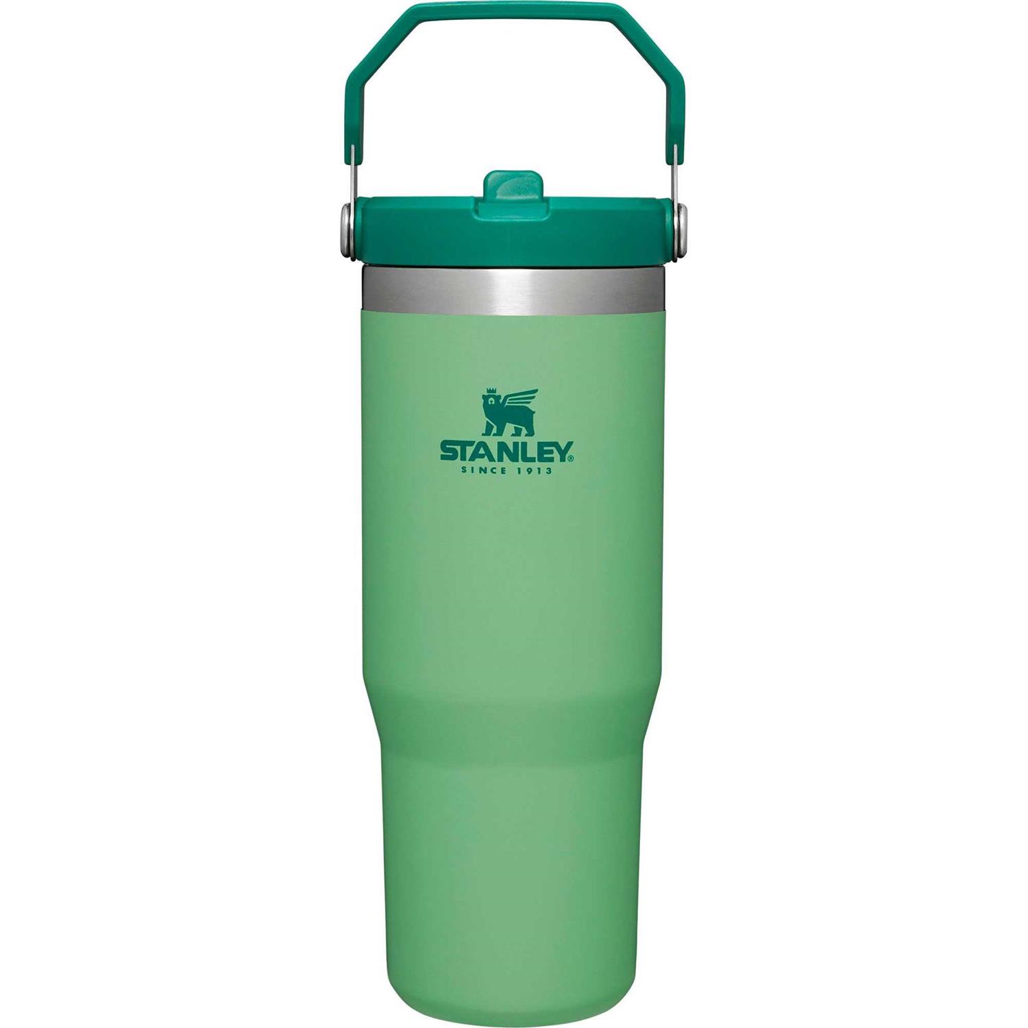 Stanley IceFlow Tumbler Flip Straw