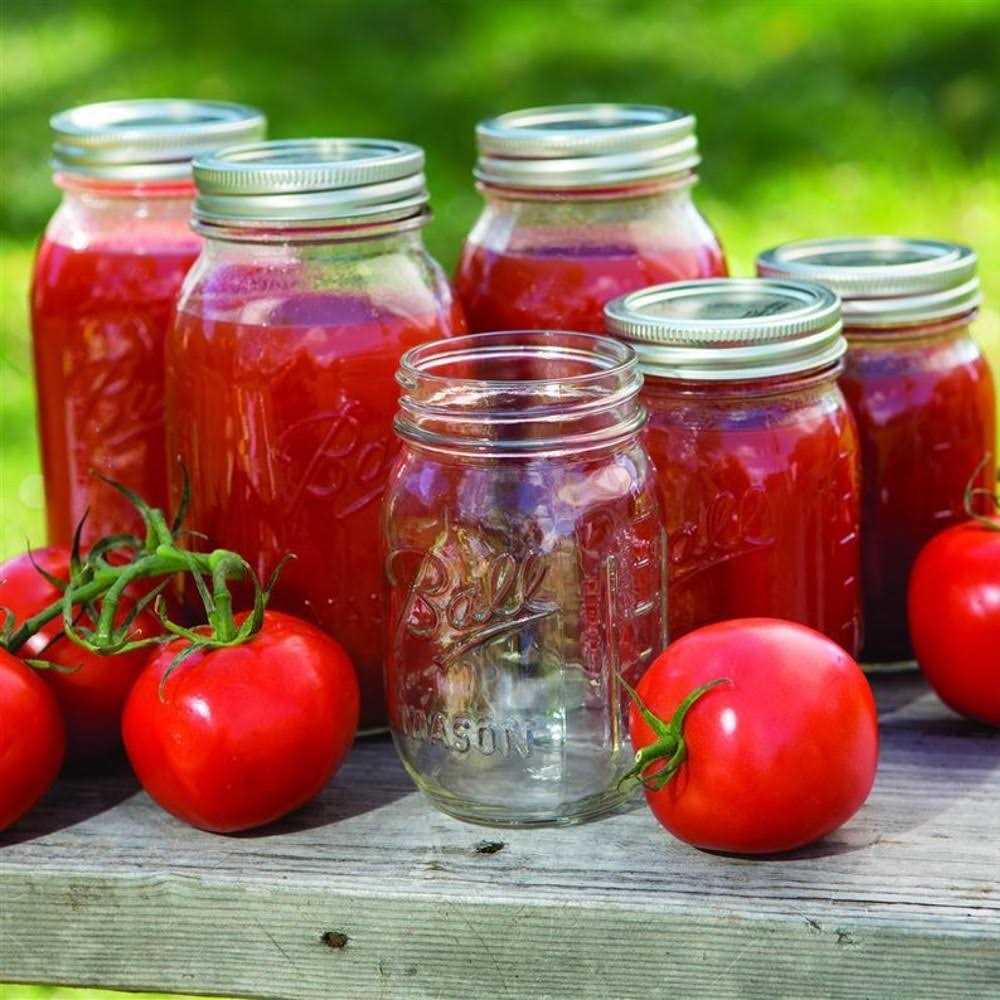 Ball Mason Jars Pint Regular Mouth