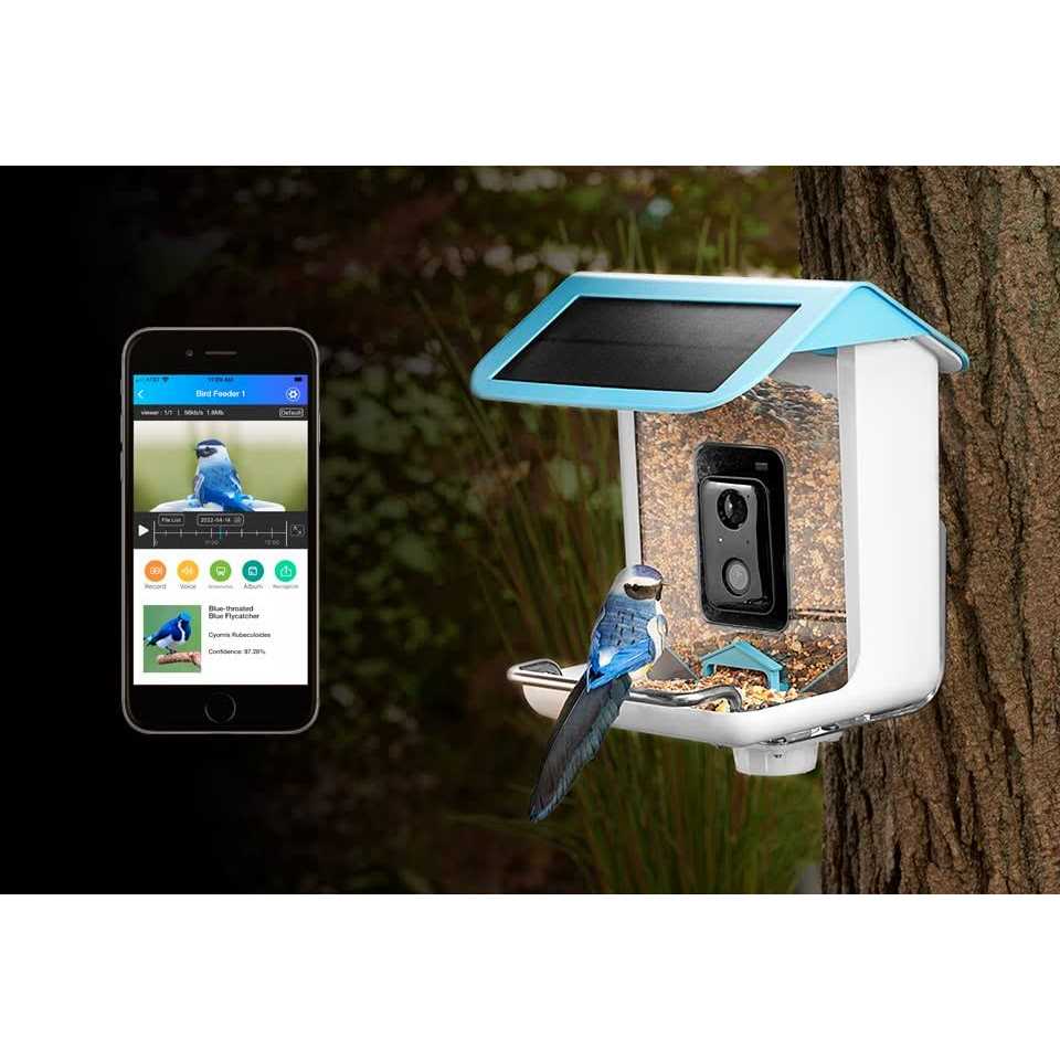 Video Bird Feeder Camera Solar Powered AI Bird Recognition