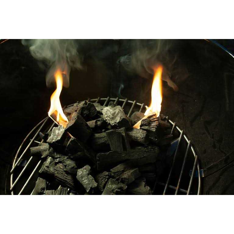 Expert Grill Fatwood Firestarter