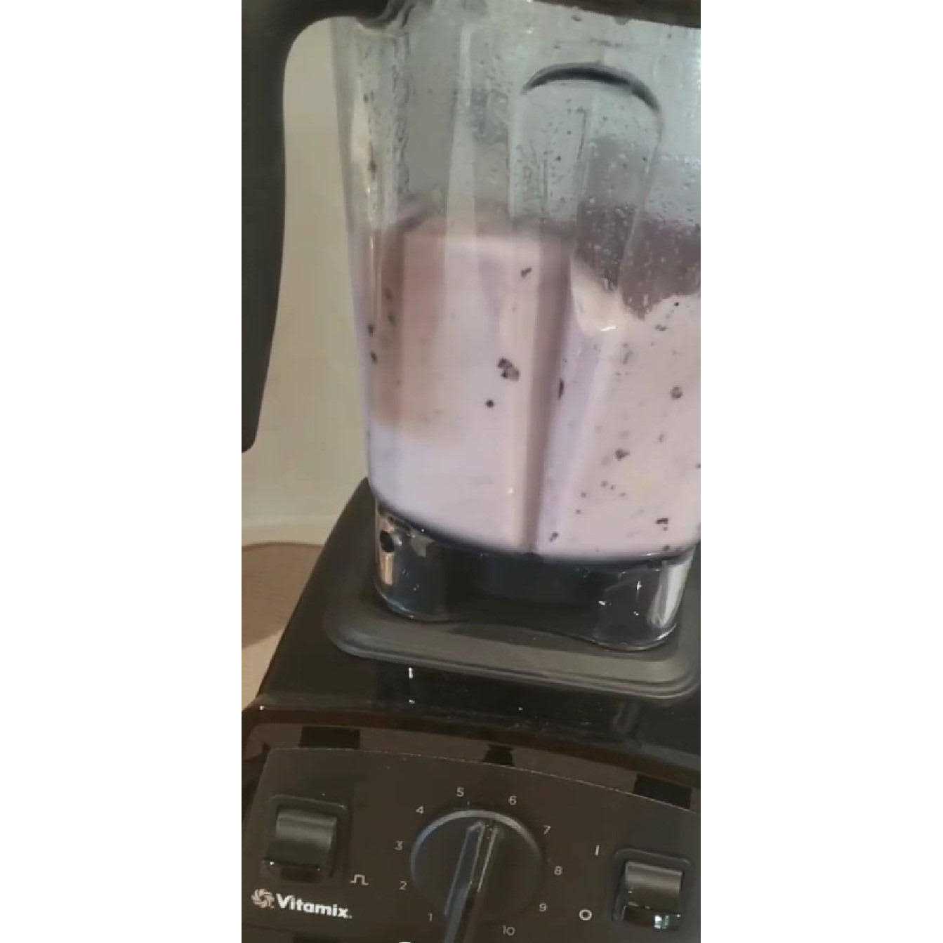 Vitamix E310
