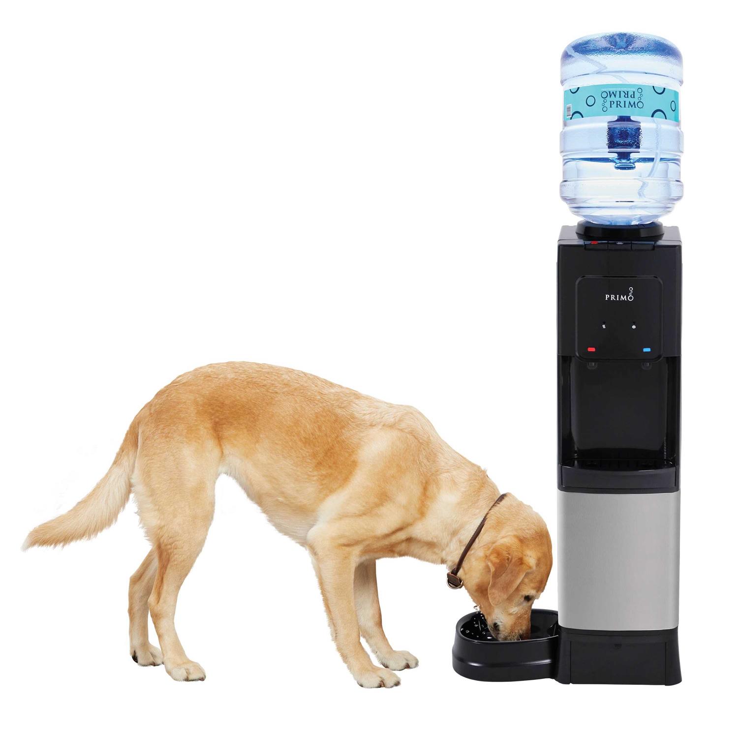 Primo Top Load Water Dispenser with Pet Station 601335