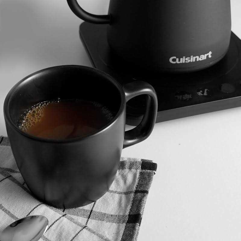 Cuisinart Digital Gooseneck Kettle
