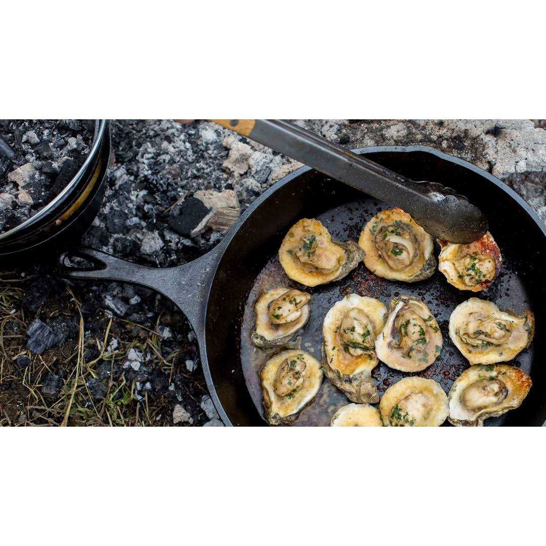 Lodge Cast Iron Skillet