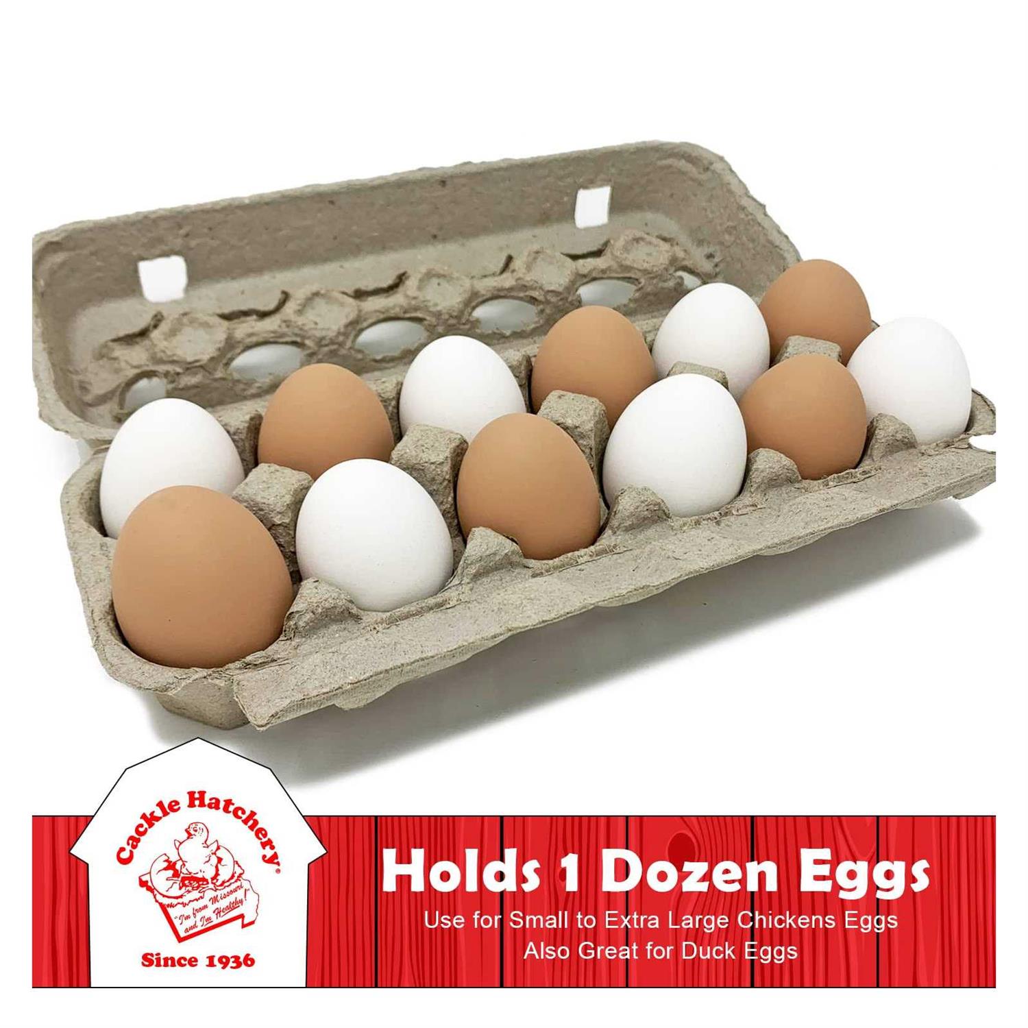 Vented Paper Pulp Egg Cartons