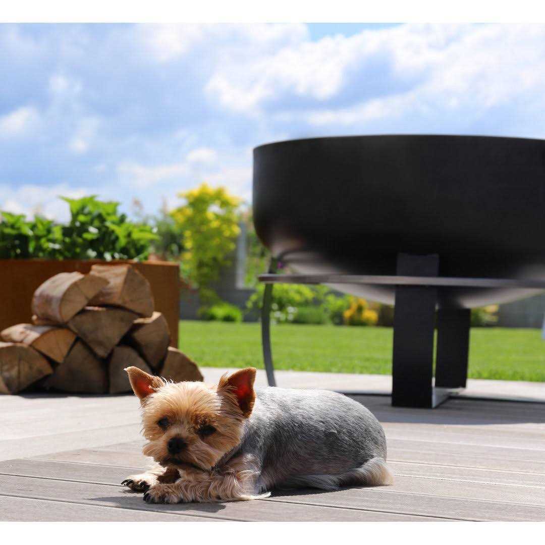 Good Directions Cook King 111562 Viking XXL Fire Bowl