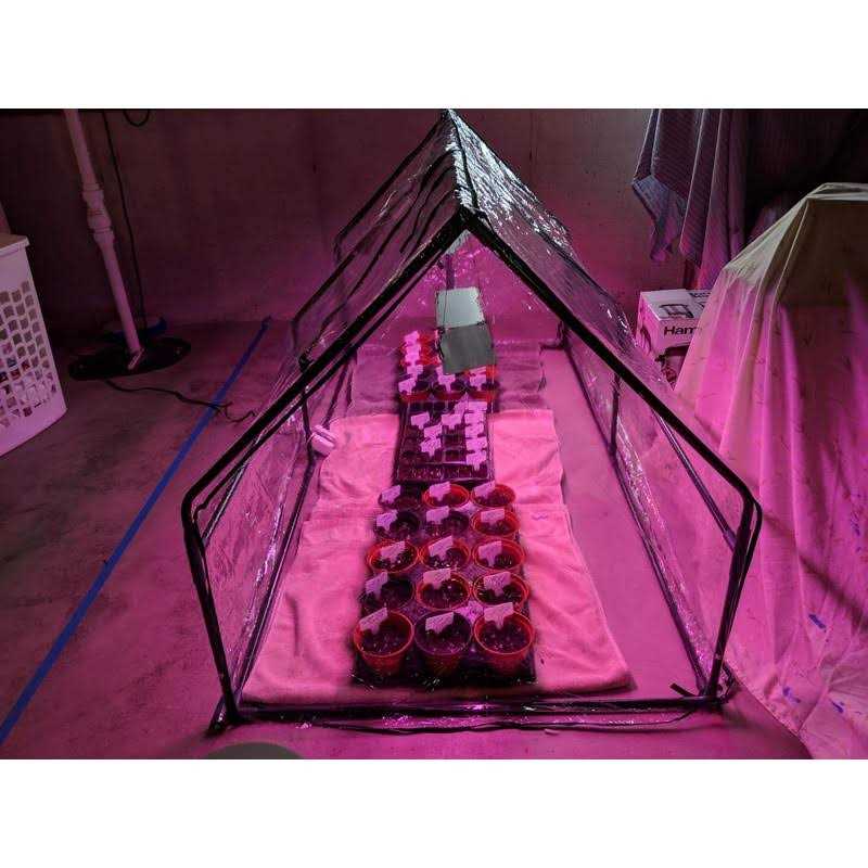 Quictent Waterproof UV Protected Reinforced Mini Cloche Greenhouse 95 Wx 36 D X 36 / 71 Wx 36 D X 36 H Portable Green Hot House