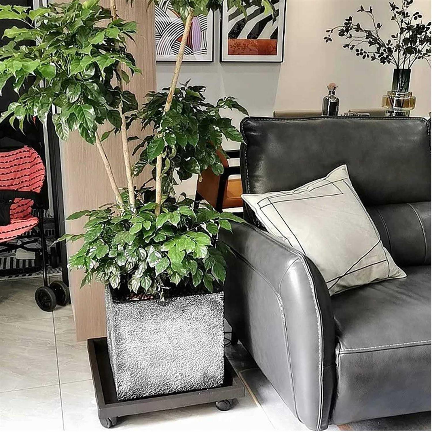 WanderingDonkey Square Heavy Duty Plant Caddy with Wheels,Rolling Stand Pot Trolley,Wheeled Planter Saucer Tray,Potted Flower Mover Dolly