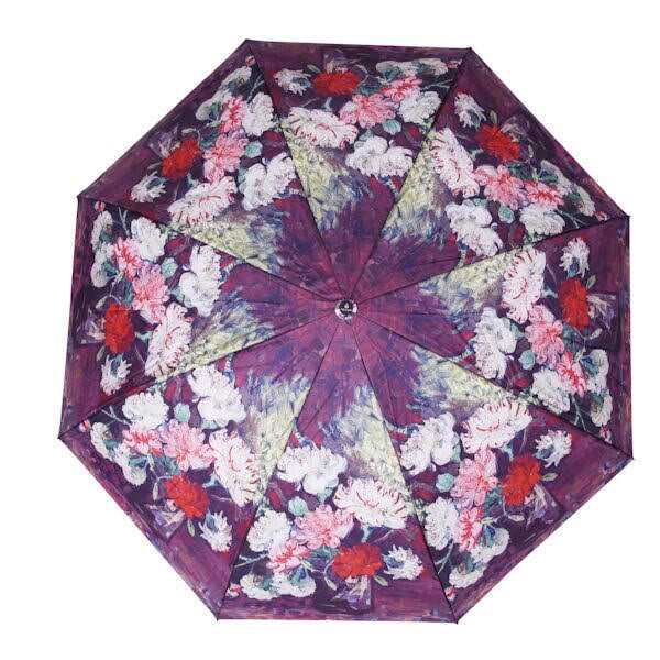 RainCaper Reverse Umbrella
