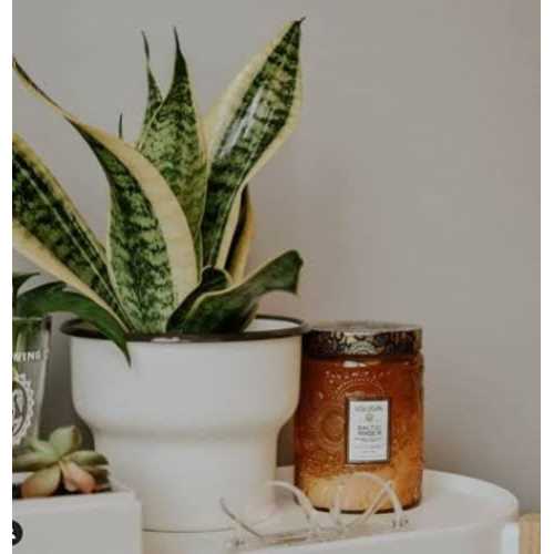 Voluspa Large Glass Jar Candle