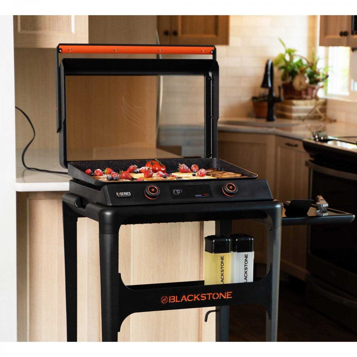 Blackstone E-Series 2-Burner 22 Electric Tabletop Griddle with Prep Cart