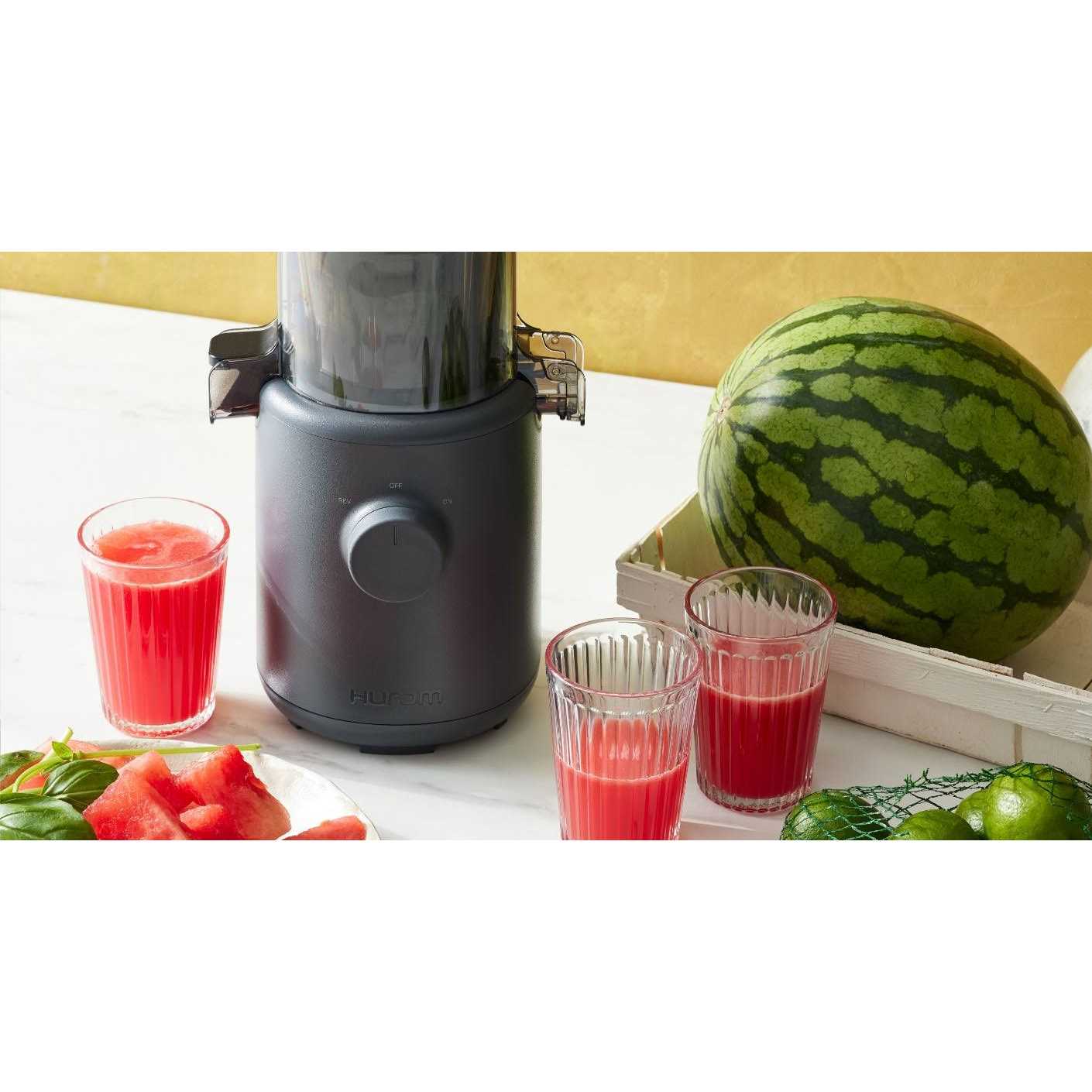 Hurom H310A Personal Self Feeding Slow Masticating Juicer