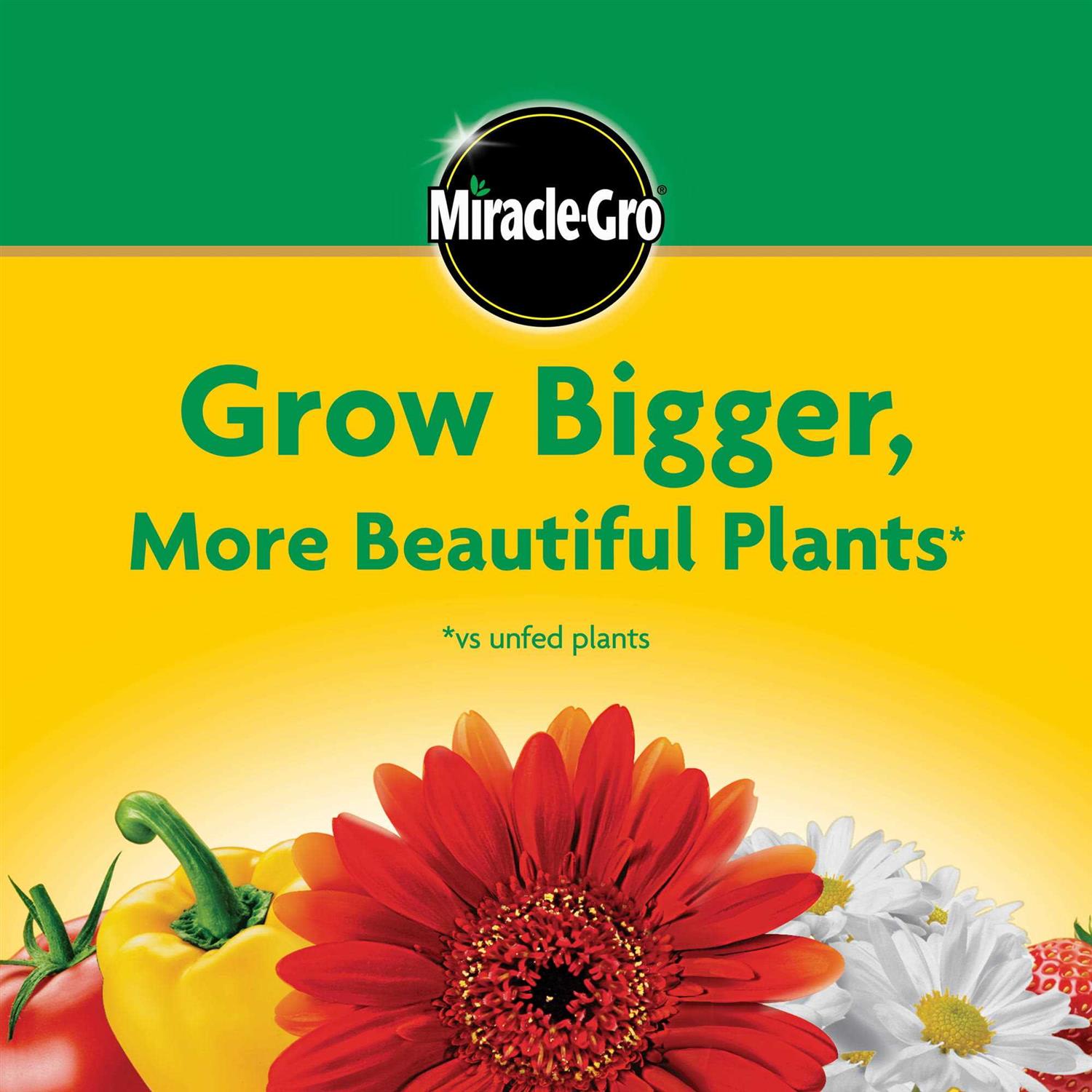 Miracle-Gro All Purpose Plant Food – 1.5 lb box
