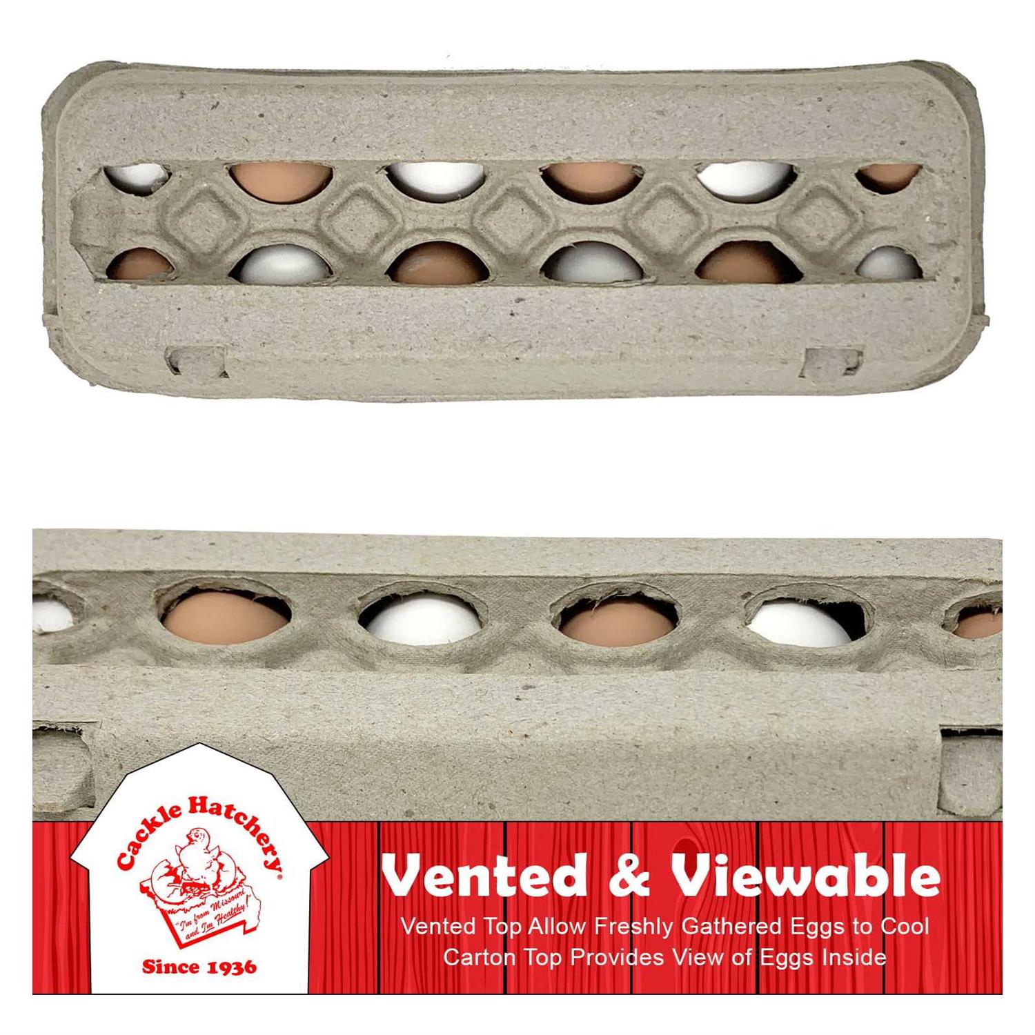 Vented Paper Pulp Egg Cartons