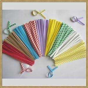 Weststone 100pcs 4 Paper Twist Ties Wired Ties