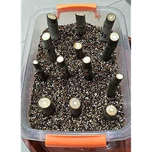 Voulosimi Organic Vermiculite granules for Plants and gardening