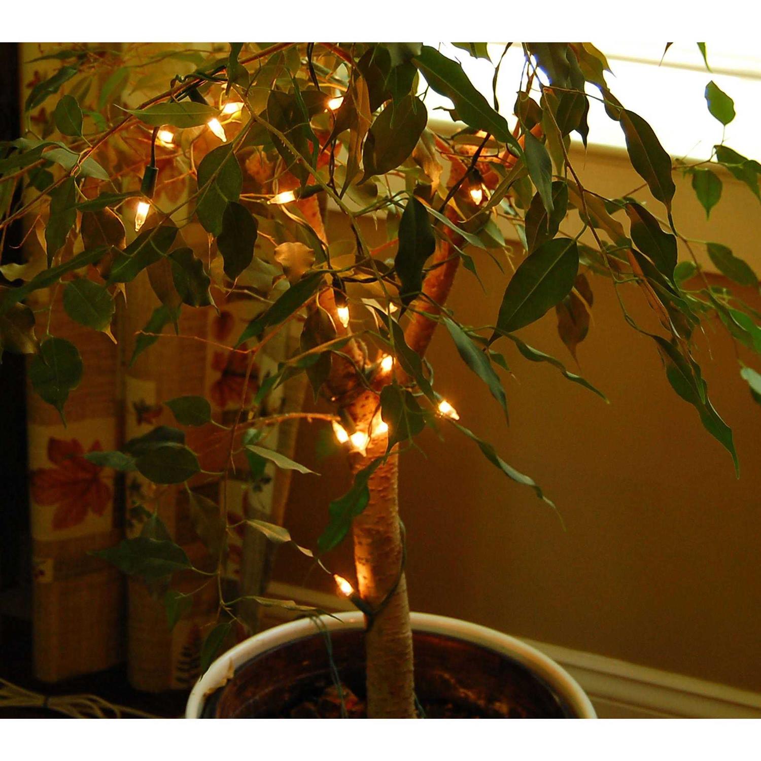 LUMABASE 200-Light Mini String Lights