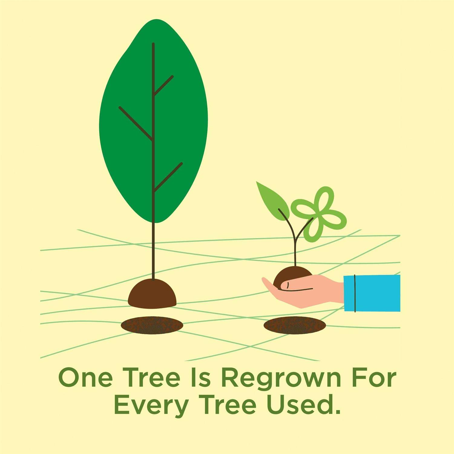 Dixie 3oz & 5oz Cup Dispenser